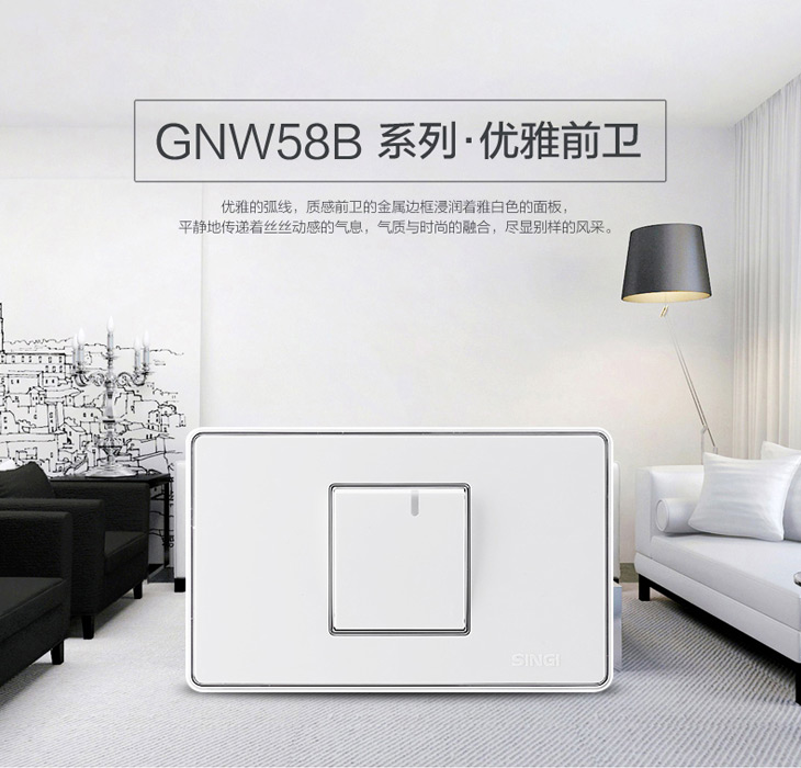 信基伟业 GNW58B系列118型开关插座.jpg